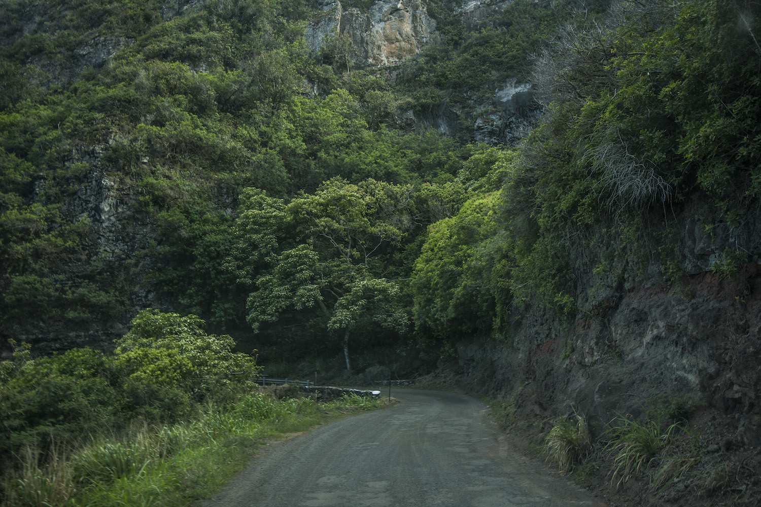 Landscapes_11.JPG