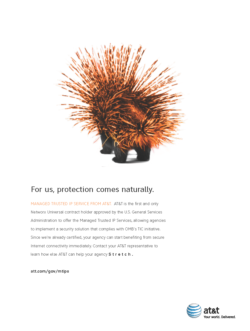 MTIPS_Porcupine.png