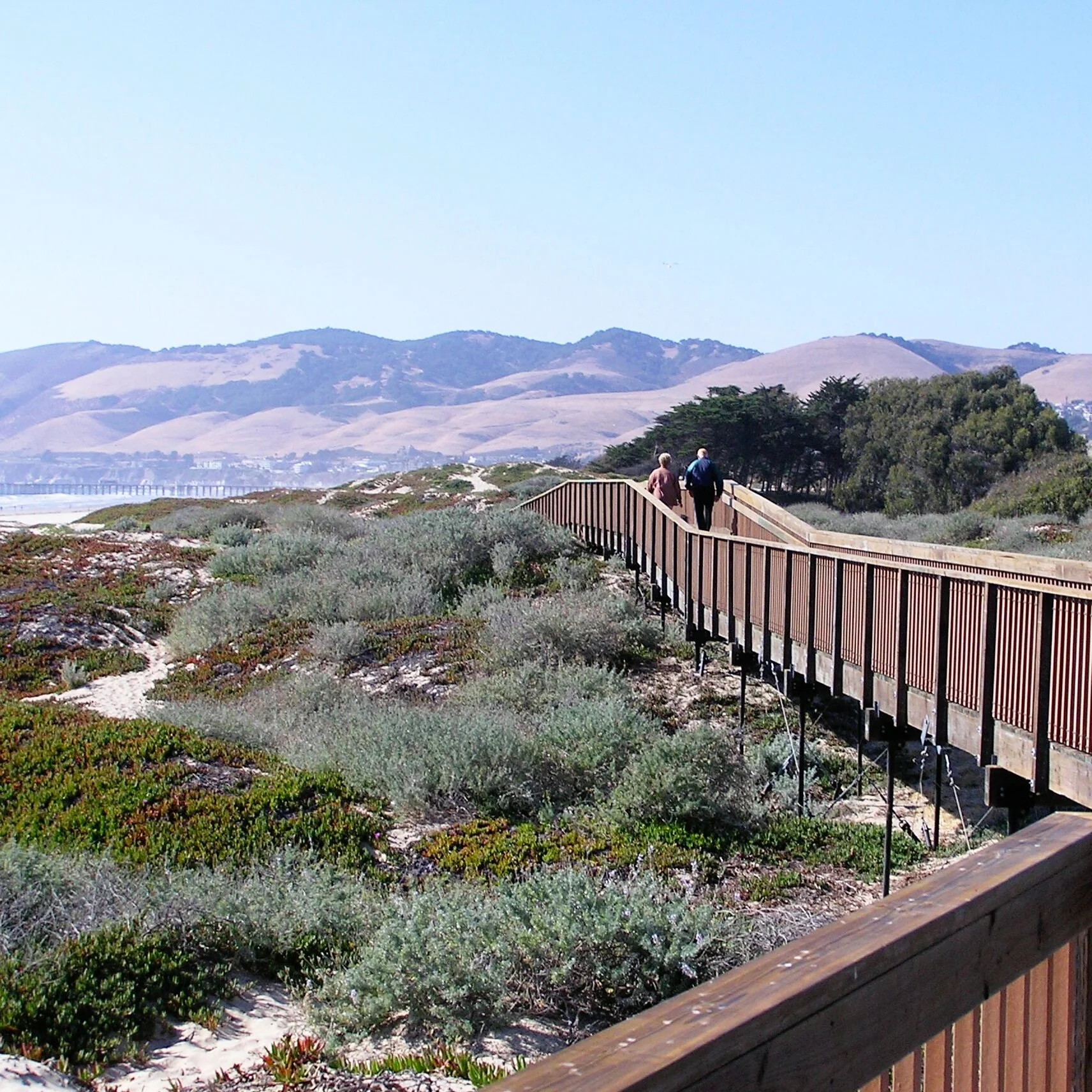 Grover Dunes Boardwalk