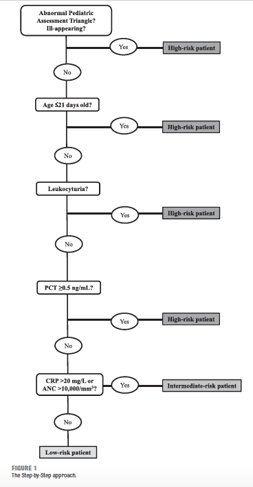 Figure from article cited below.