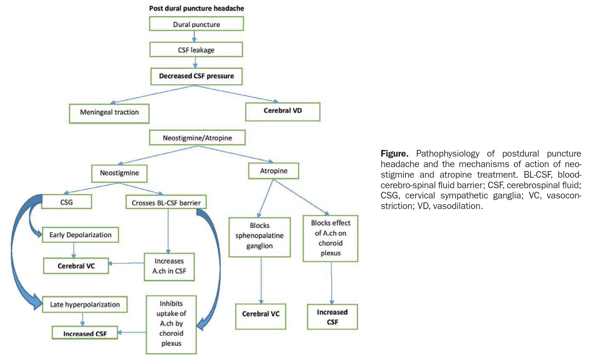 From cited article