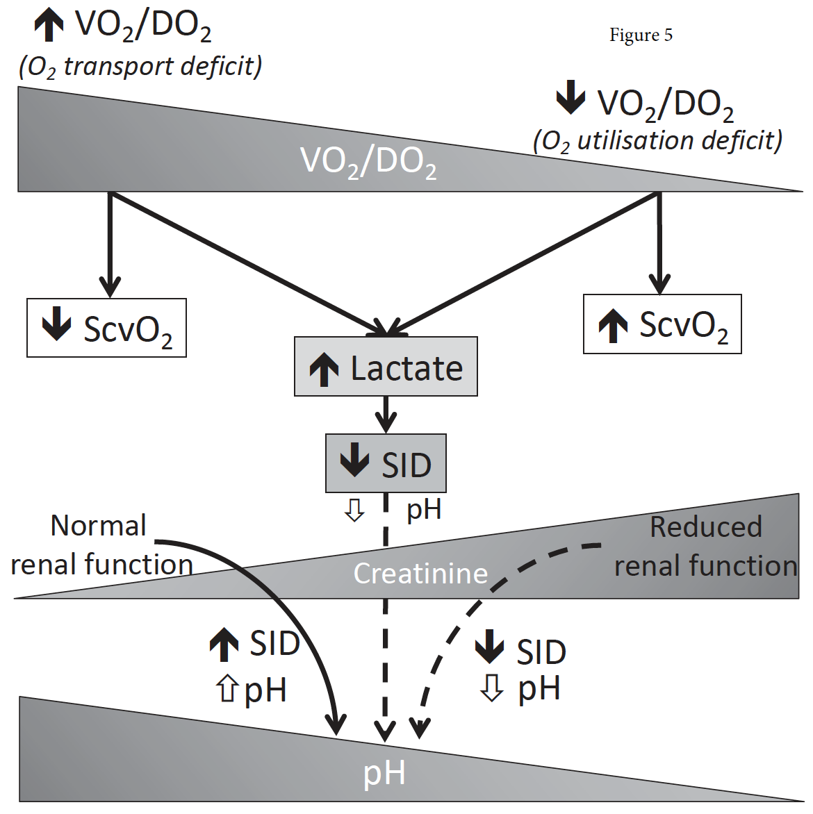 From cited article: SID, strong ion difference.