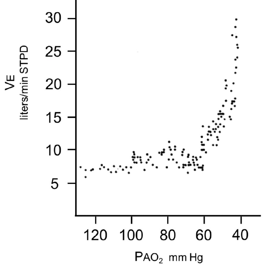 From cited article - Figure 1. PaO2 <60 marked increase minute ventilation