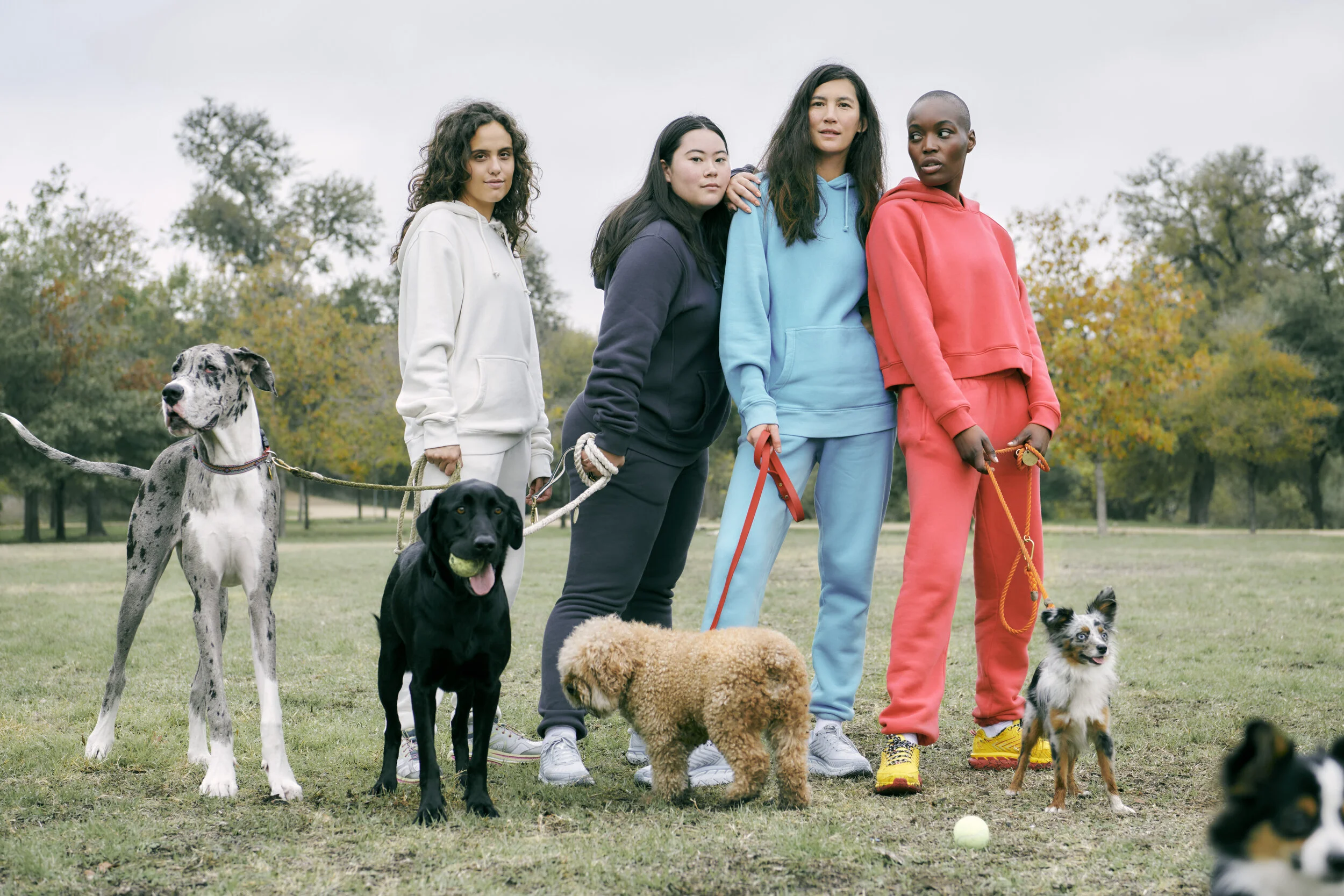 Nimbus Cotton_Core_Harper Smith_112019_DSC2316.jpg