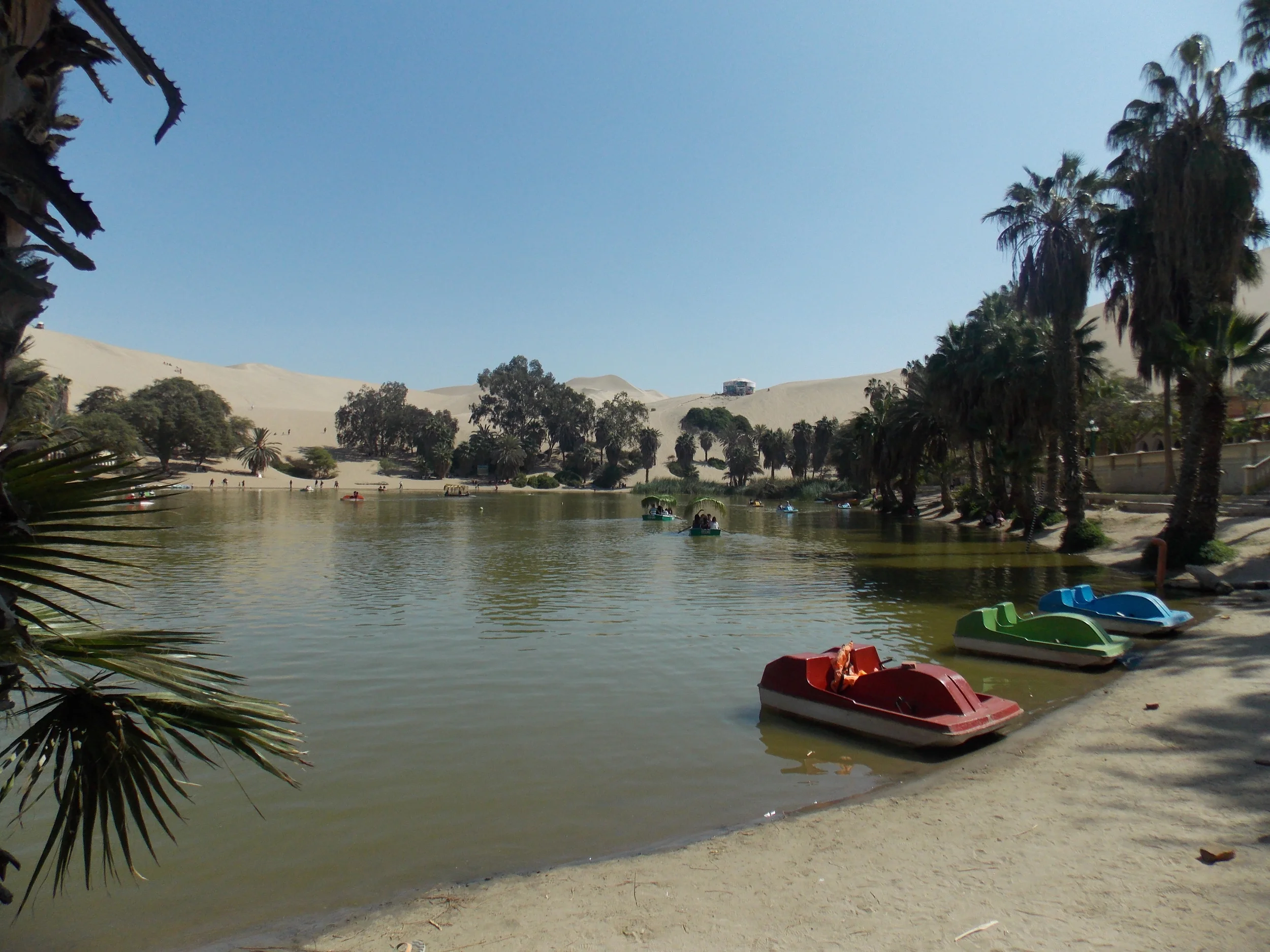 DSCN0912.JPG