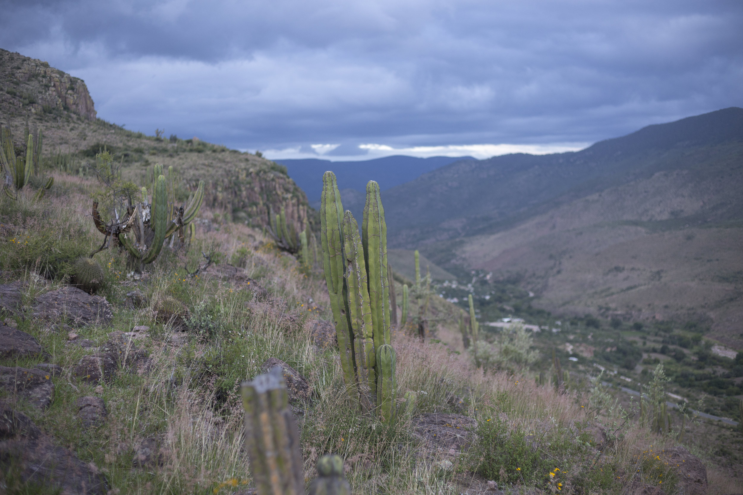 180711_TierraBlanca_Vistas_Lunch_Parents191.jpg