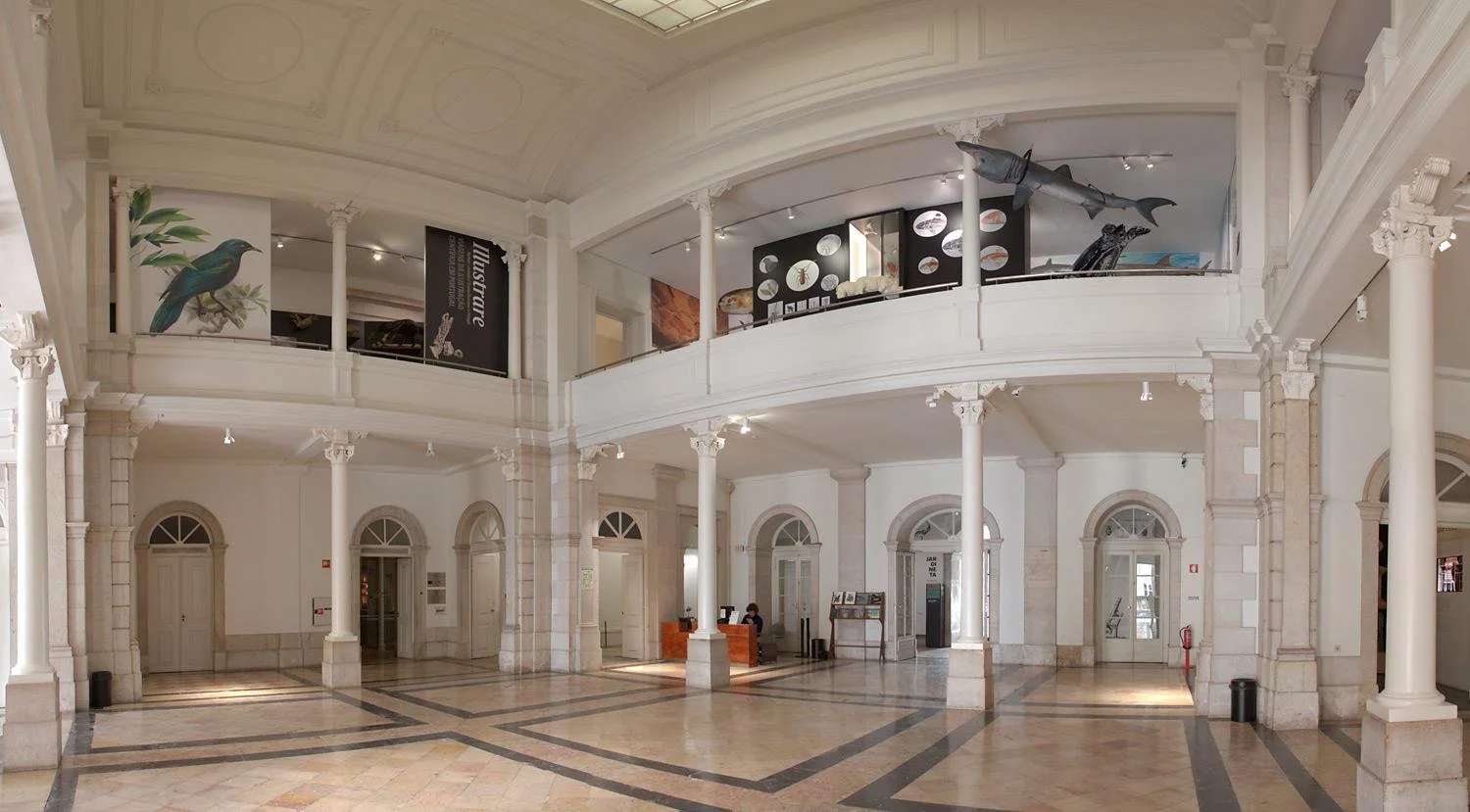 Museu Nacional de História Natural e da Ciência