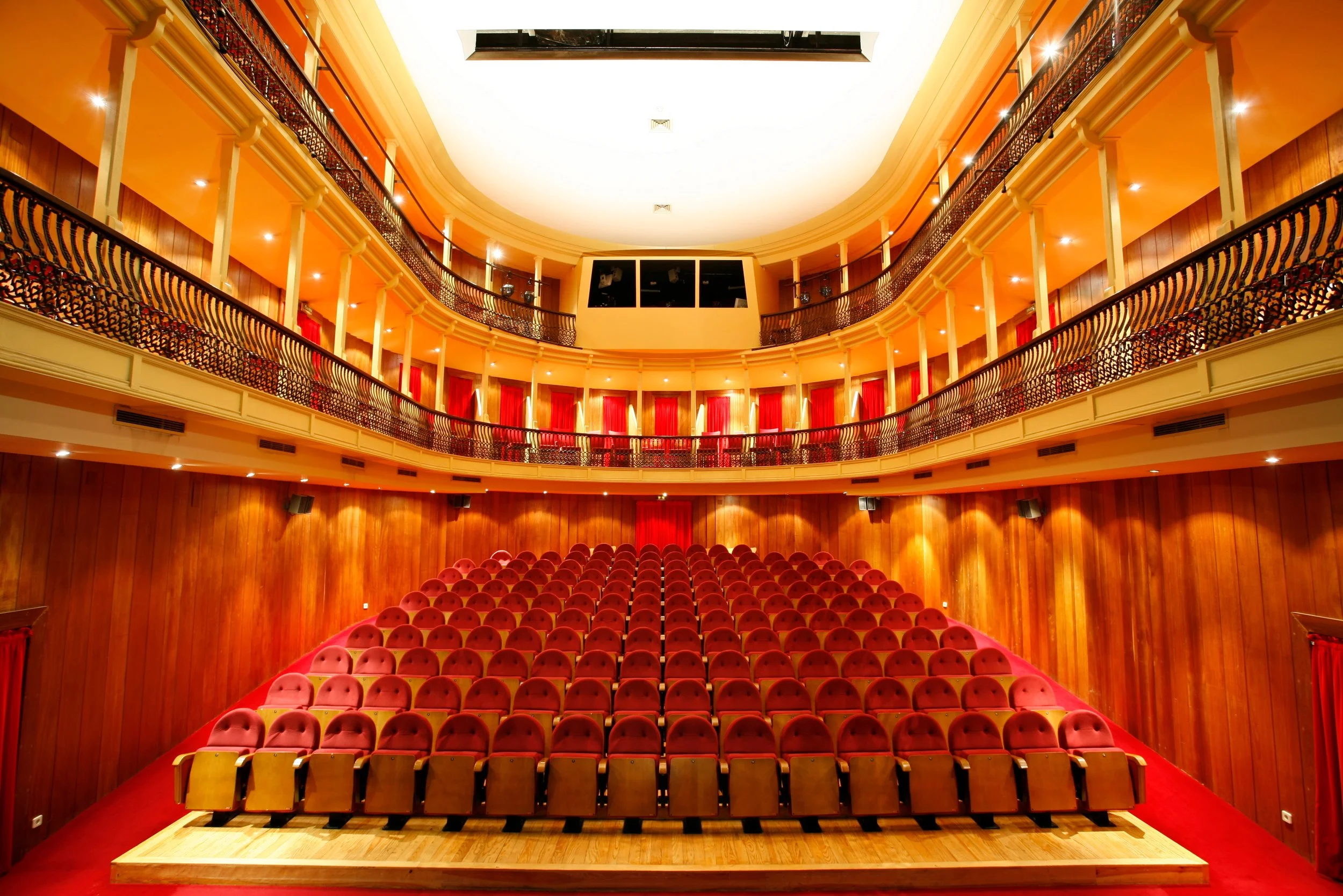 Teatro Viriato Viseu