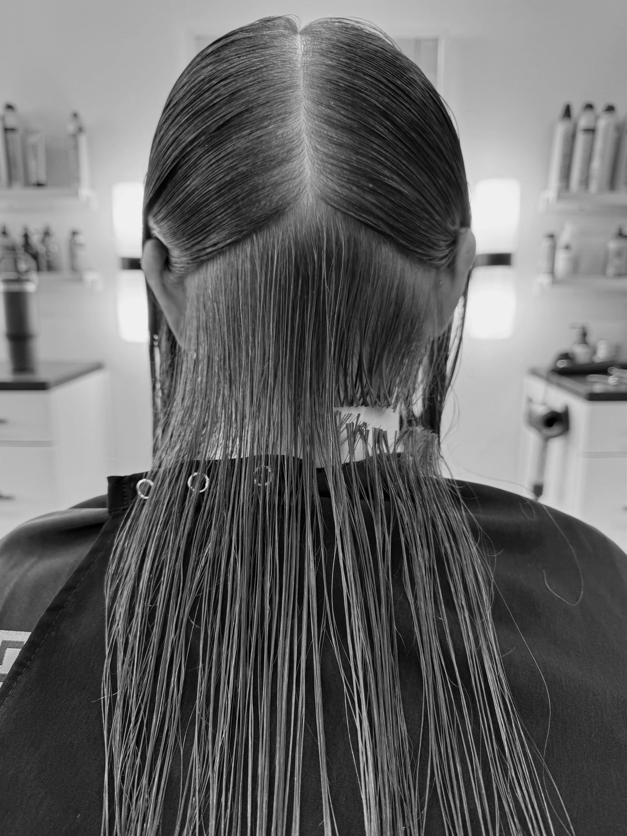 Bob progress photo.jpg