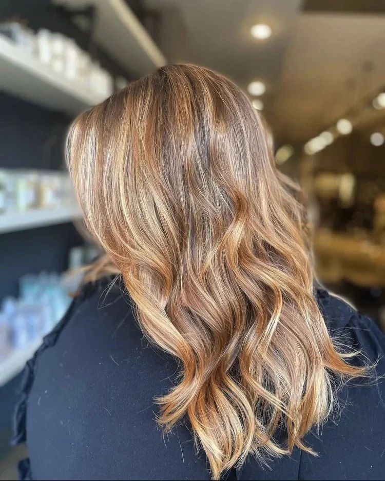brunette honey highlights.jpeg