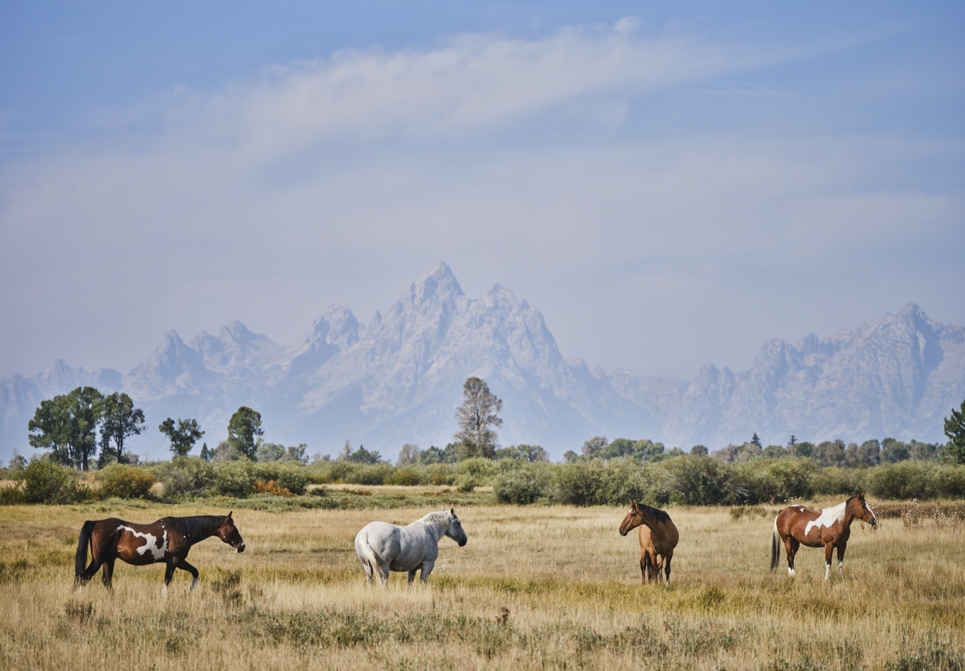 Screen Shot 2022-12-06 at 8.26.04 AM.PNG