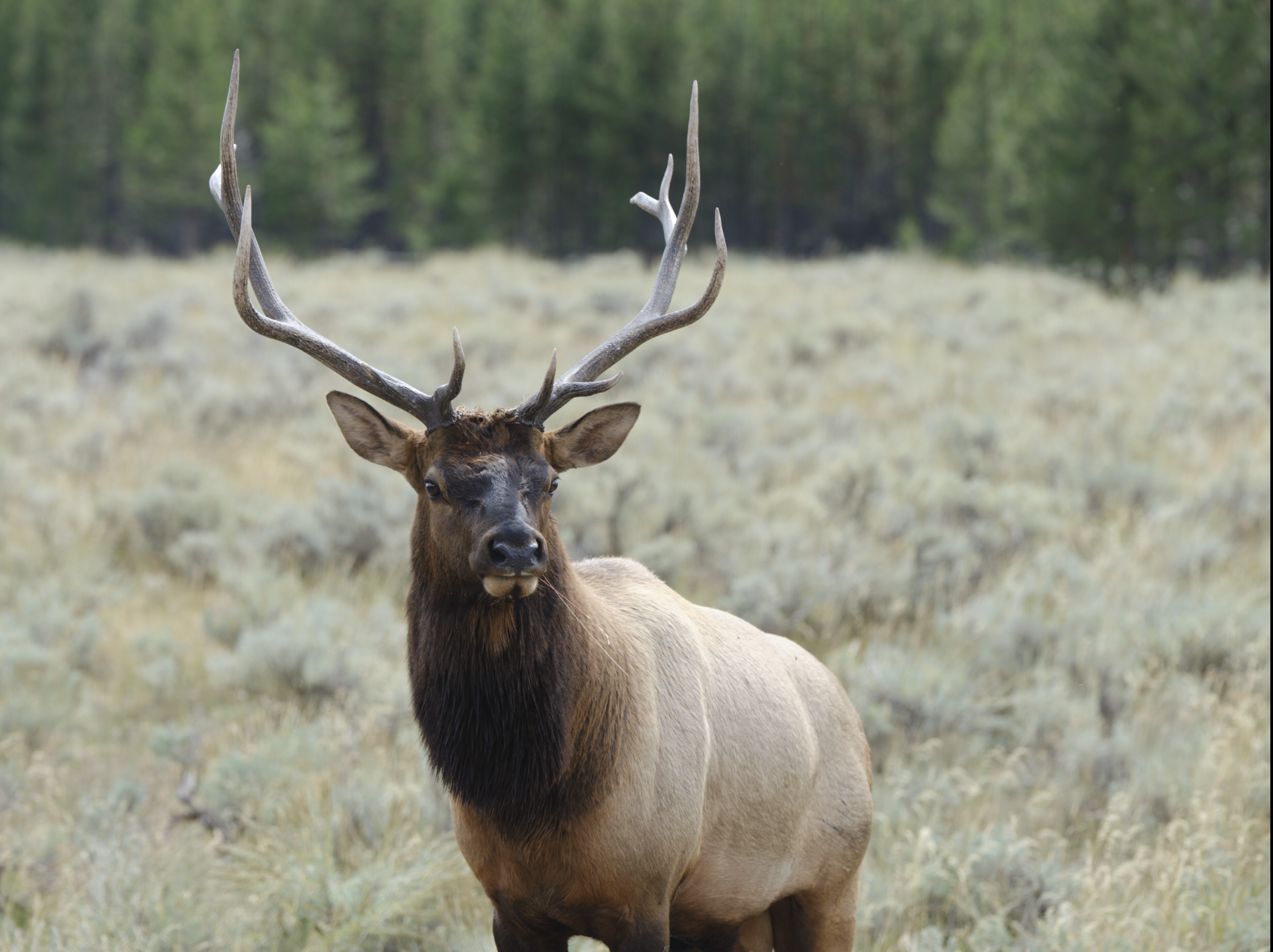 Screen Shot 2022-12-06 at 8.24.13 AM.PNG