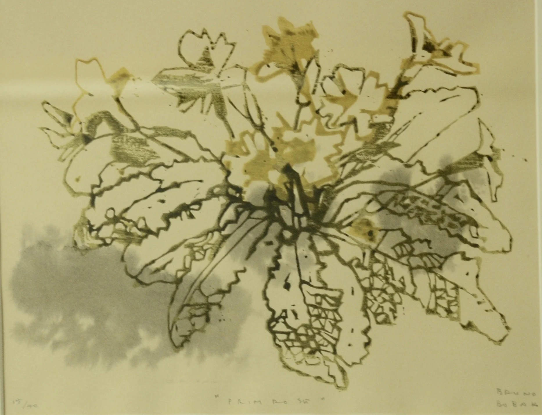 Bruno Bobak, Primrose,