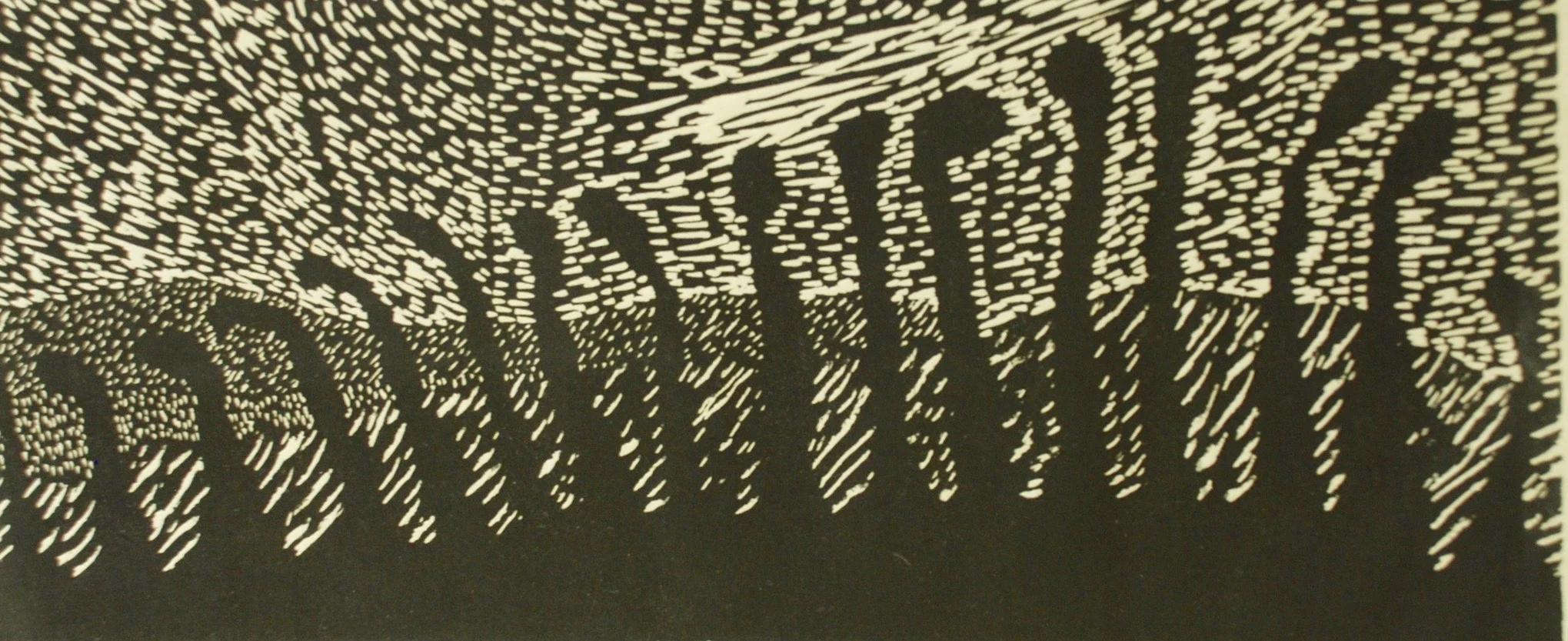 Arnold Shives, Black Spruce Near Arctic Circle, 1959
