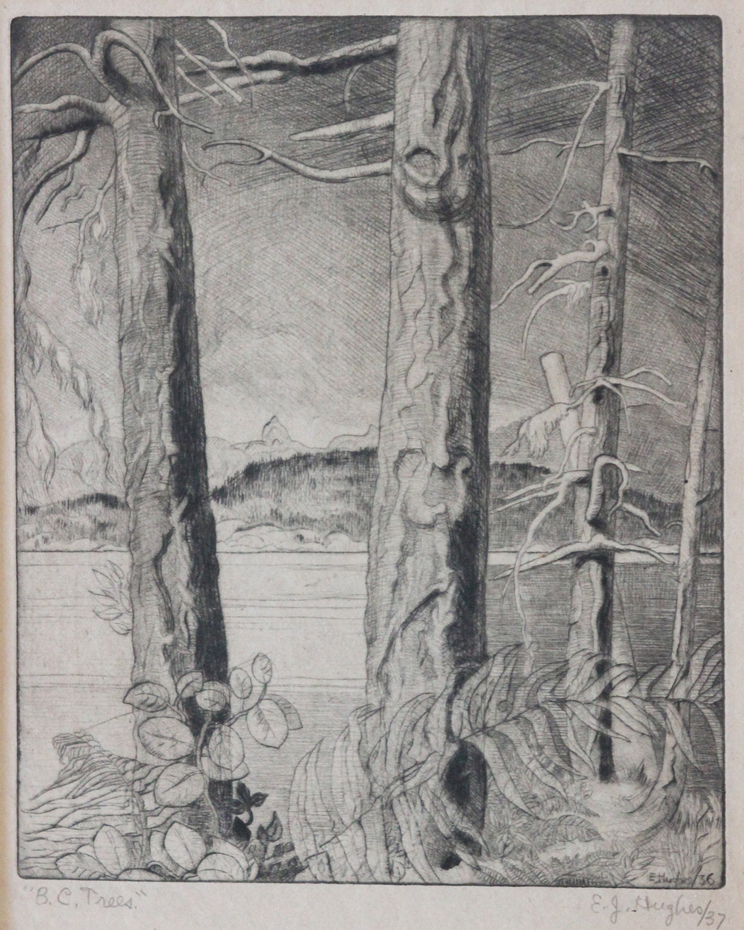 E.J Hughes, BC Trees, 1936/37