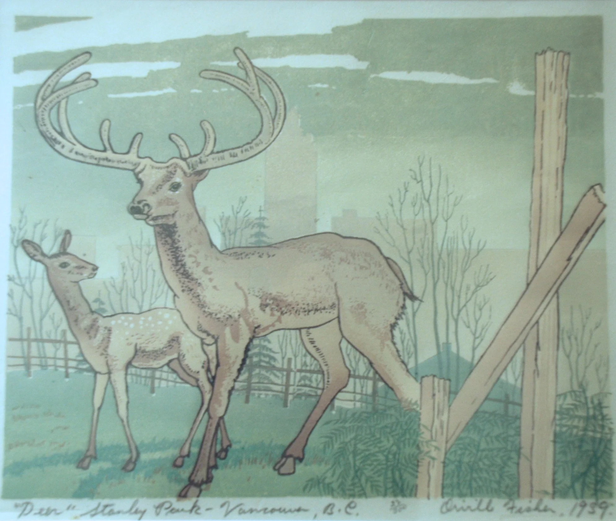 Orville Fisher, "Deer", Stanley Park, Vancouver, BC, 1939