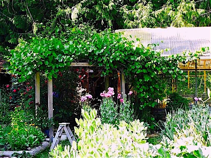 1005 Devina Drive