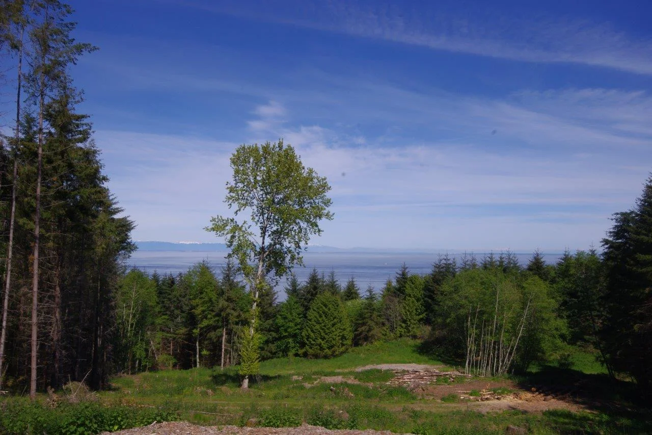 490 Panorama