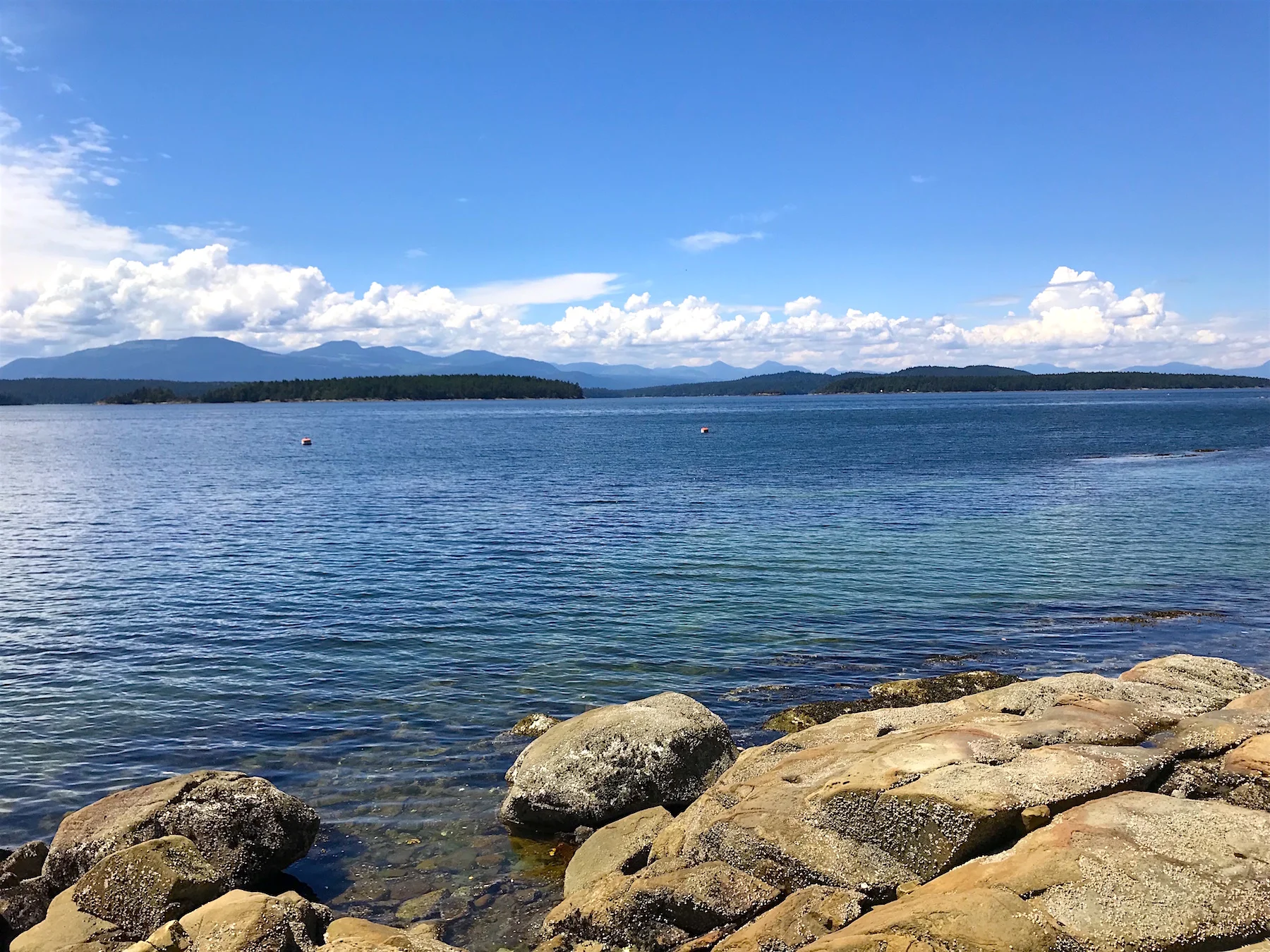 Beach 2 H - 21455 Porlier Pass.jpeg