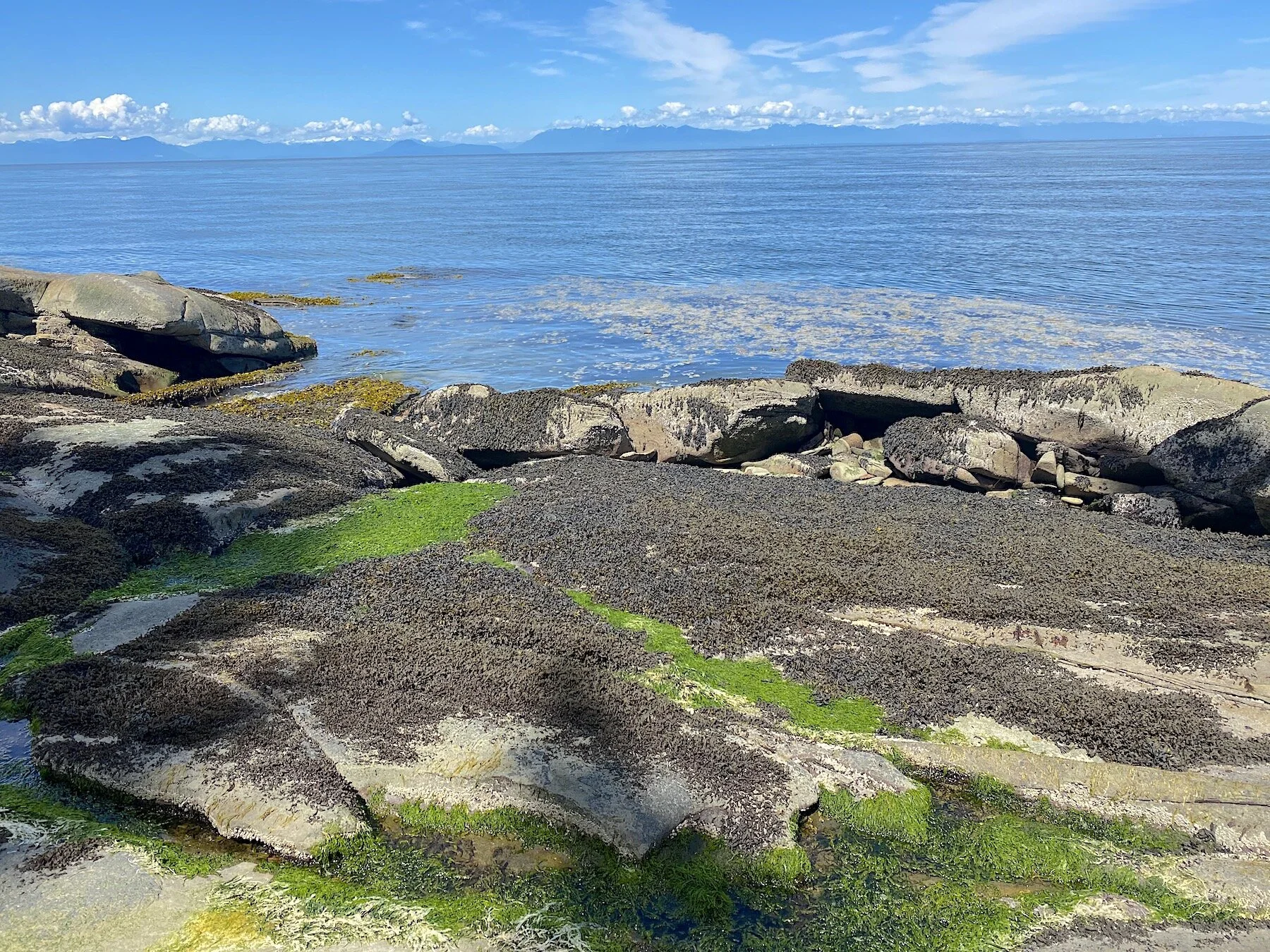 Shoreline 2 - 890 Eagles Rest lane.jpeg