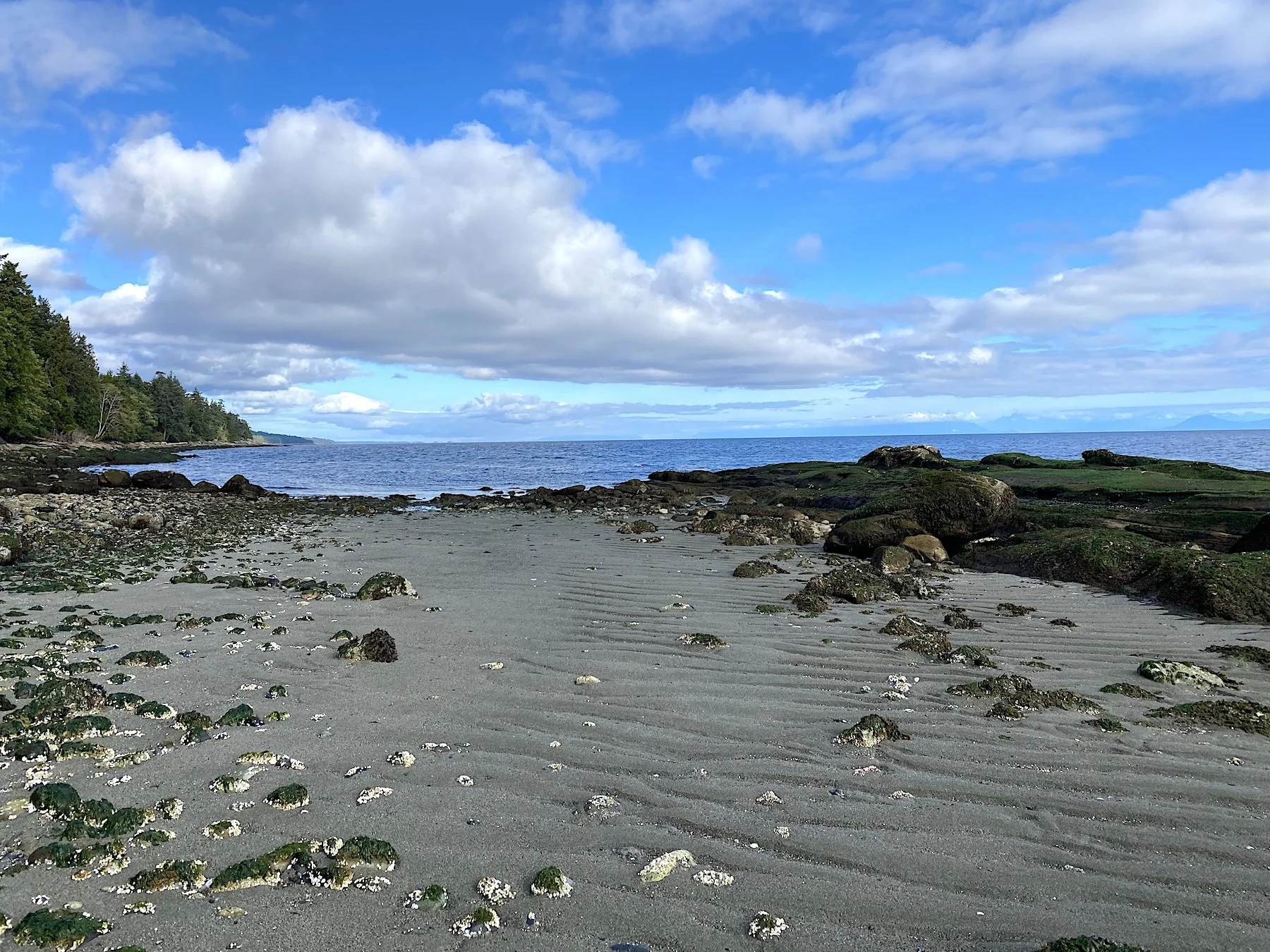 Lot 19 DL 71 Bodega Beach Drive