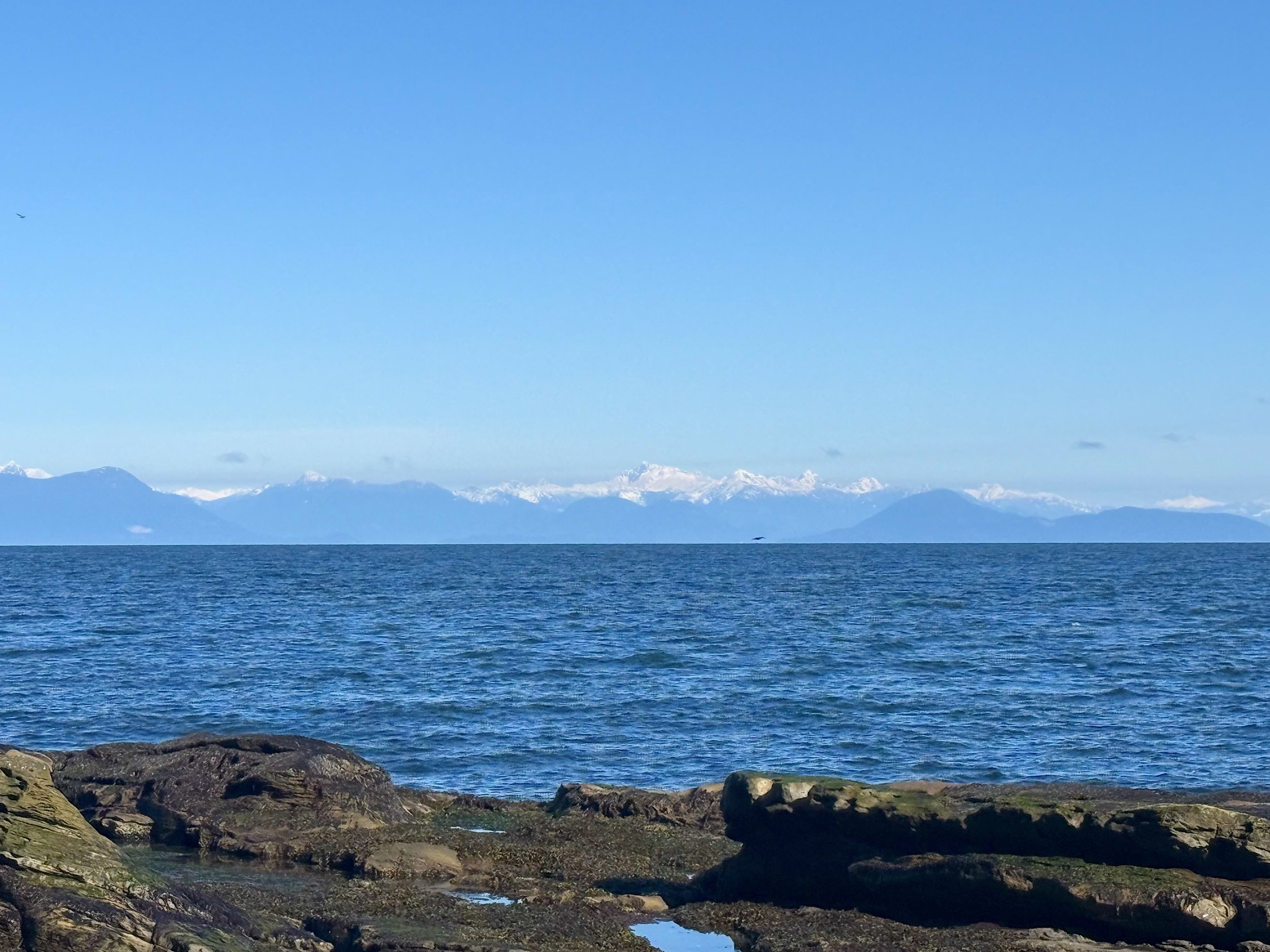 Lot 2 Bodega Beach Drive