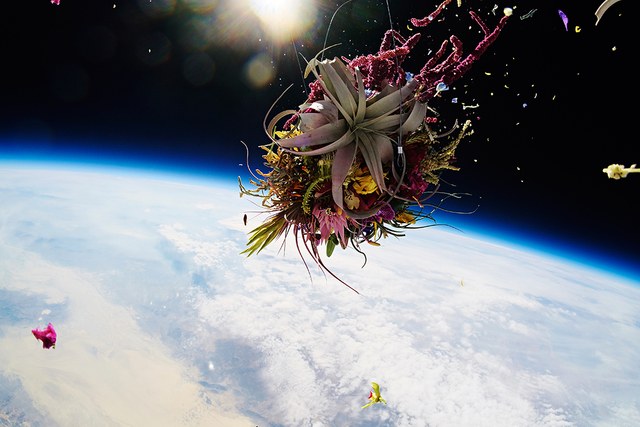 Flowers in outer space.Courtesy of Azuma Makoto