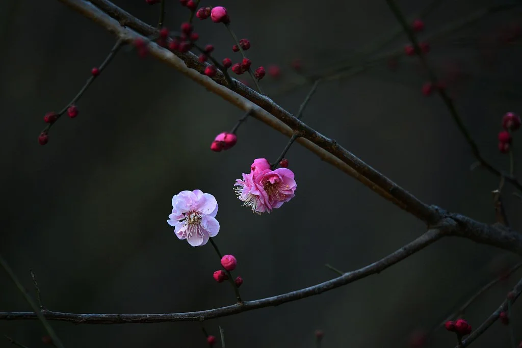 Пост-кризова робота керівника. Як "розморозити" команду