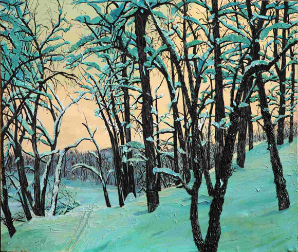 Skiing Shannondale