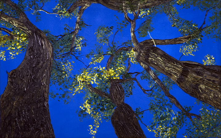 Cottonwood 2