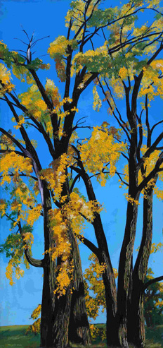 Cottonwoods in Fall