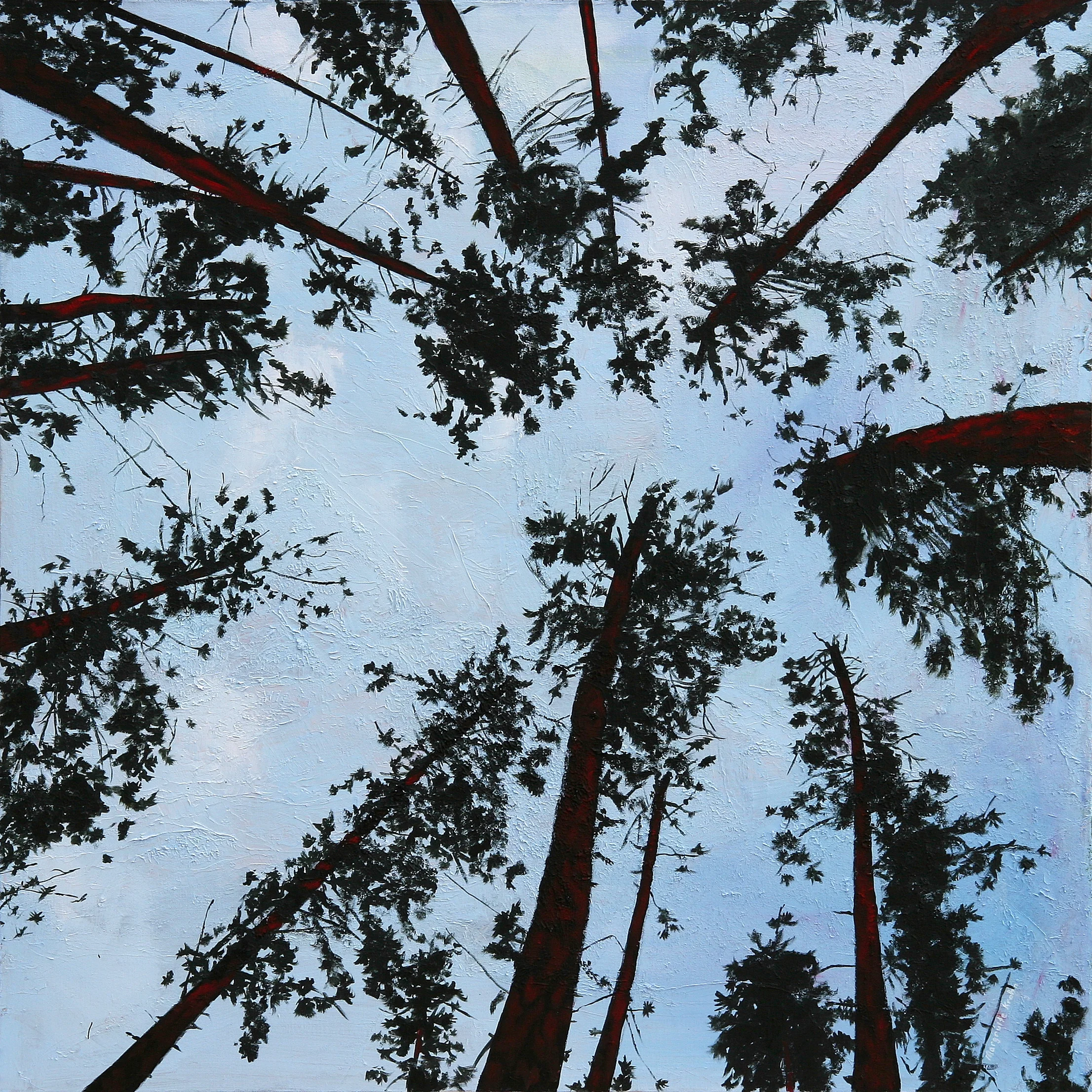Red Pine Stand