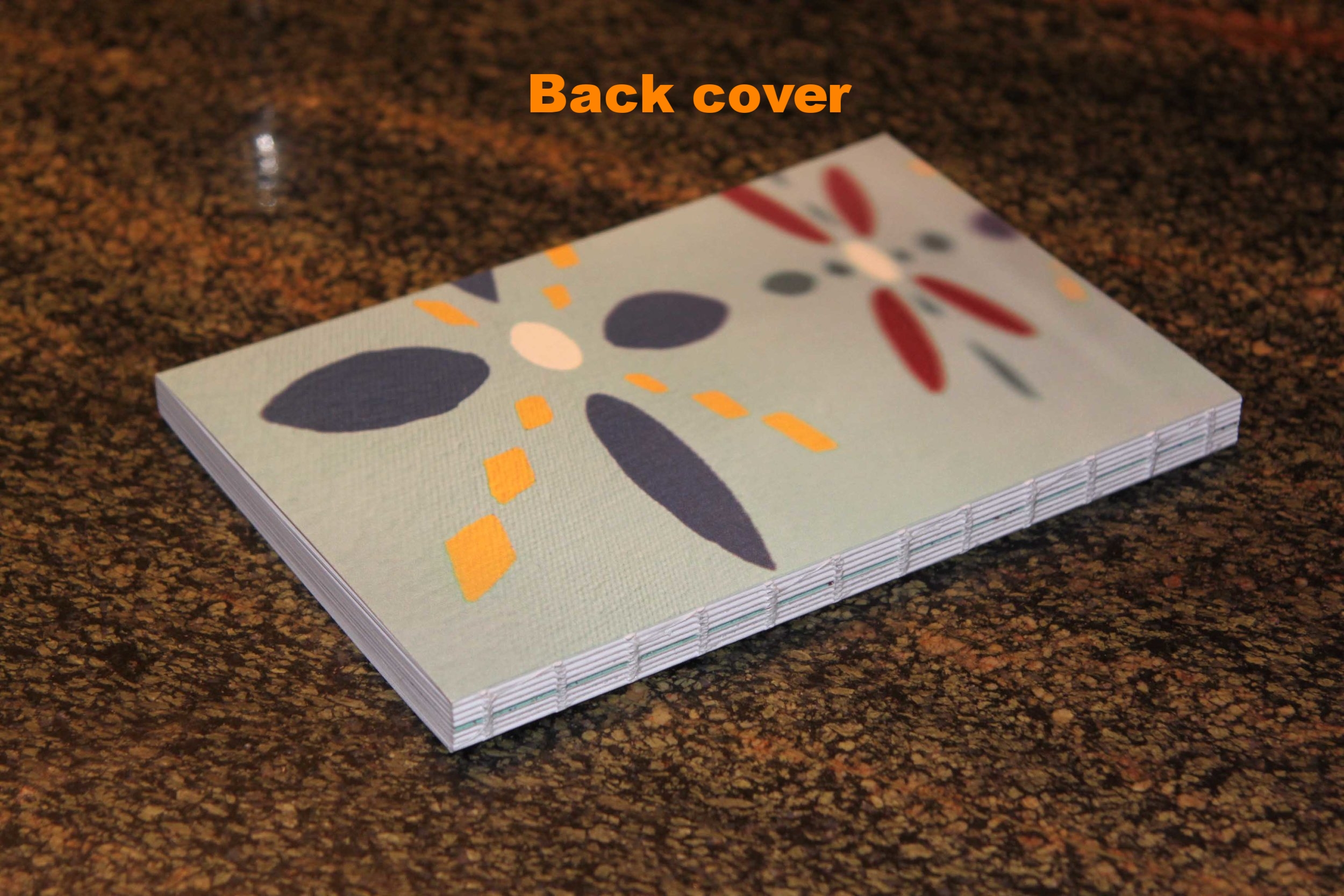 back cover.jpg
