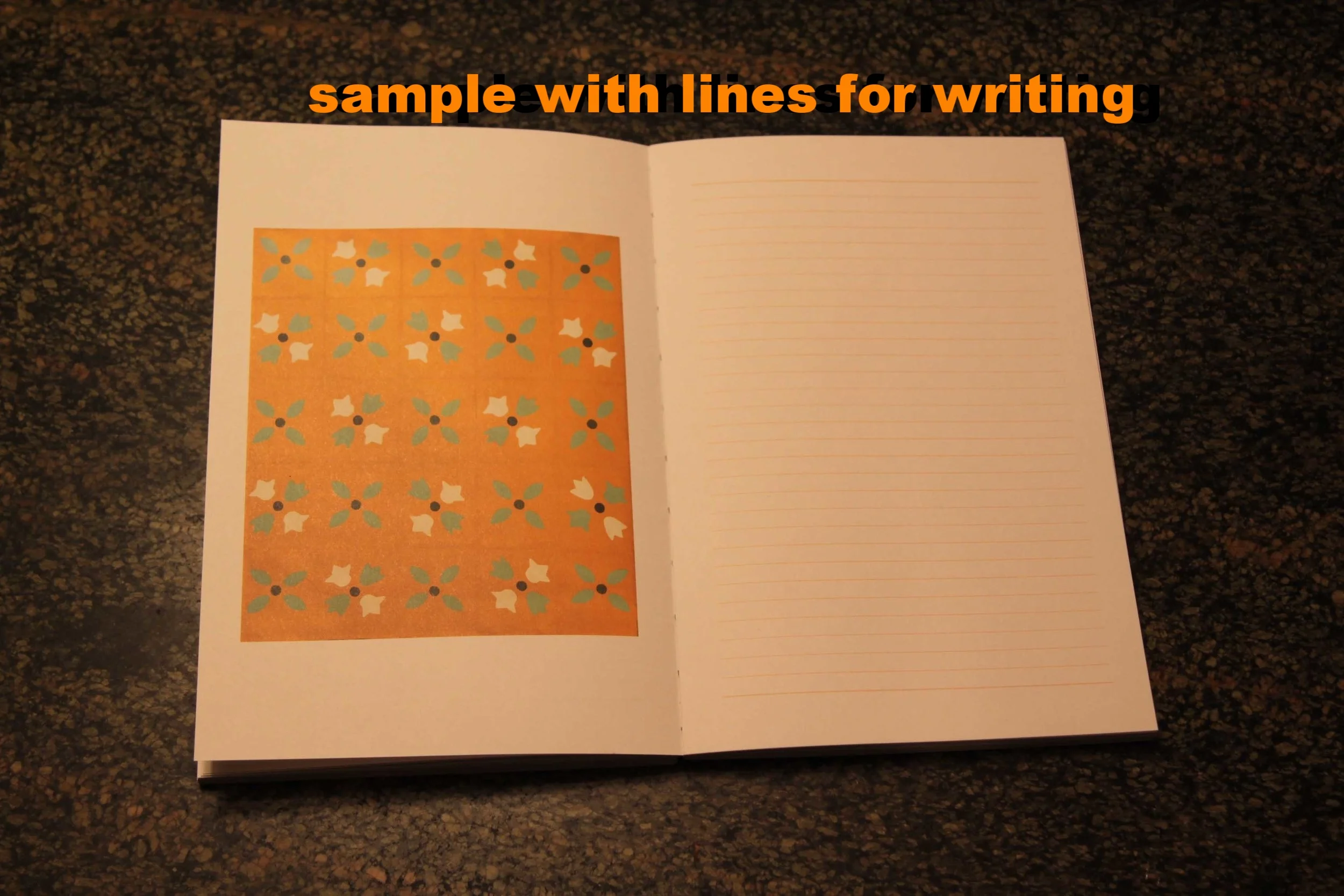 sample of inside with lines on right page.jpg