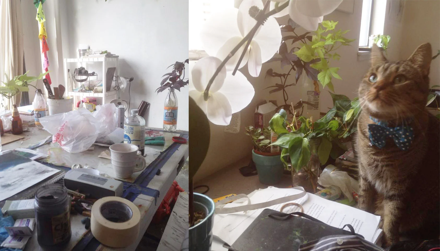 Rosie's Workspace
