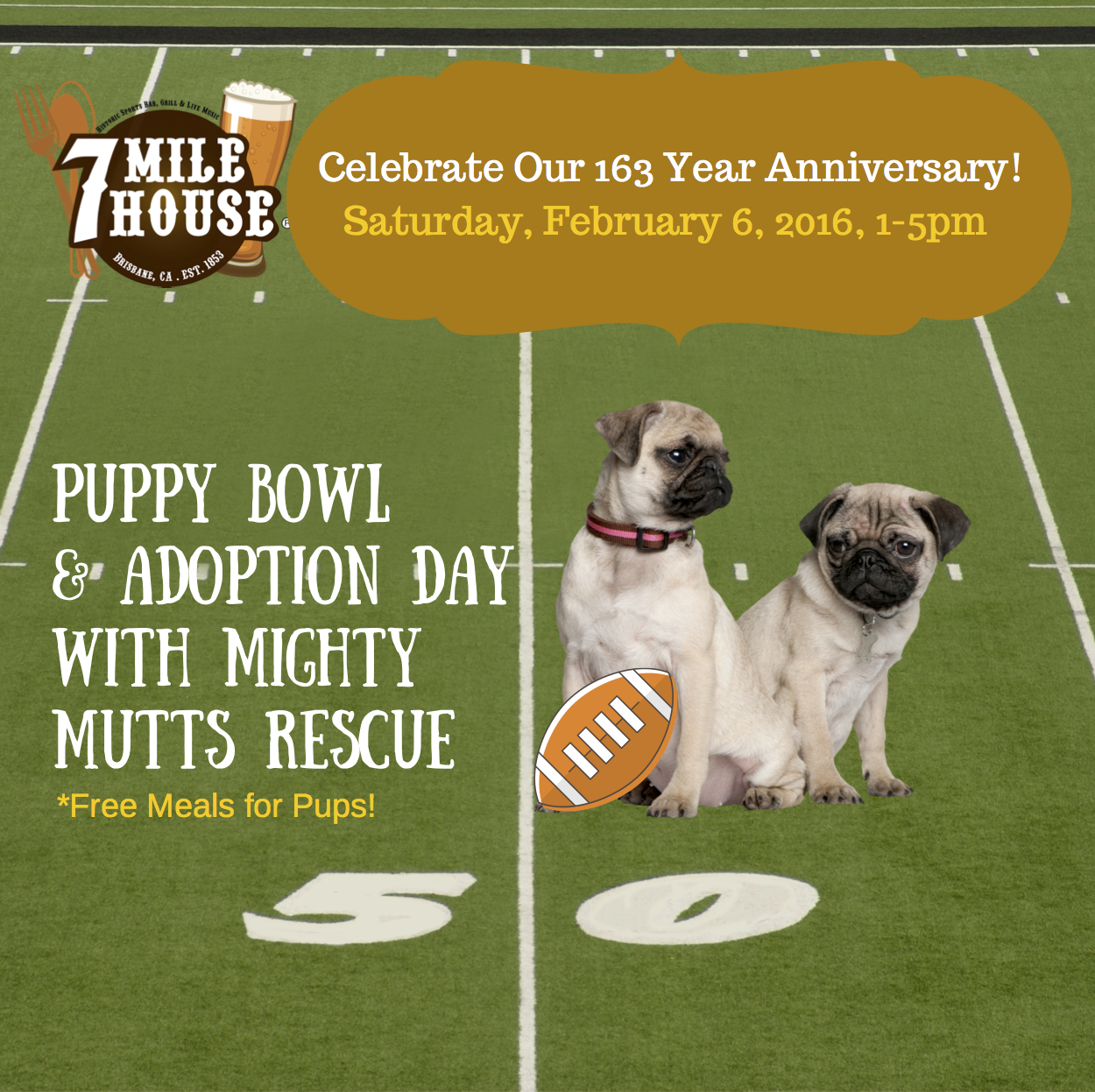 THE HISTORIC 7 MILE HOUSE CELEBRATES 163 YEAR ANNIVERSARY WITH “PUPPY BOWL” ADOPTION DAY