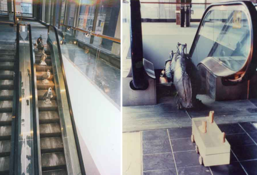 Escalator down, Bank of Montreal Bldg, Hamilton, Ont.