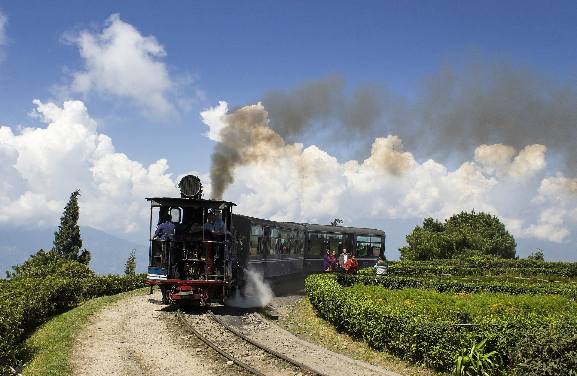 Darjeeling has more than just its world-famous tea.