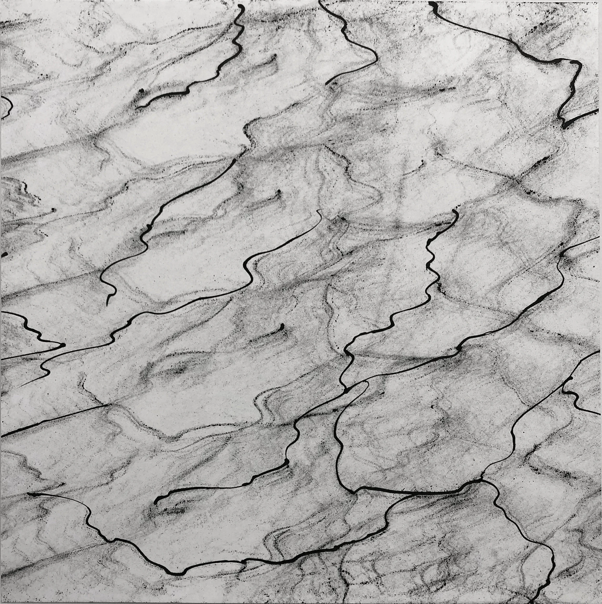 Burl, 19x19, Ink on Paper