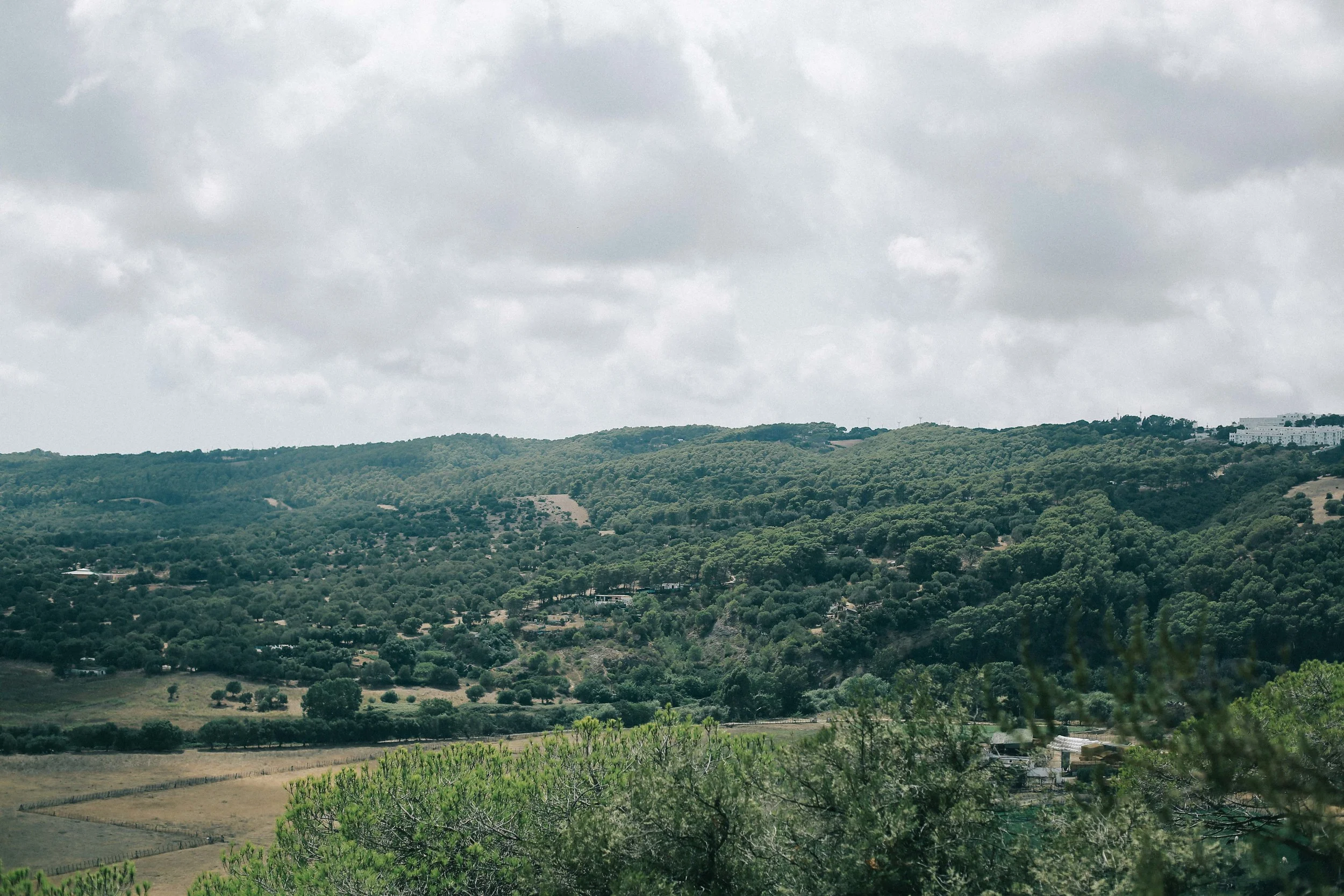 02092015-0C7A7946.jpg