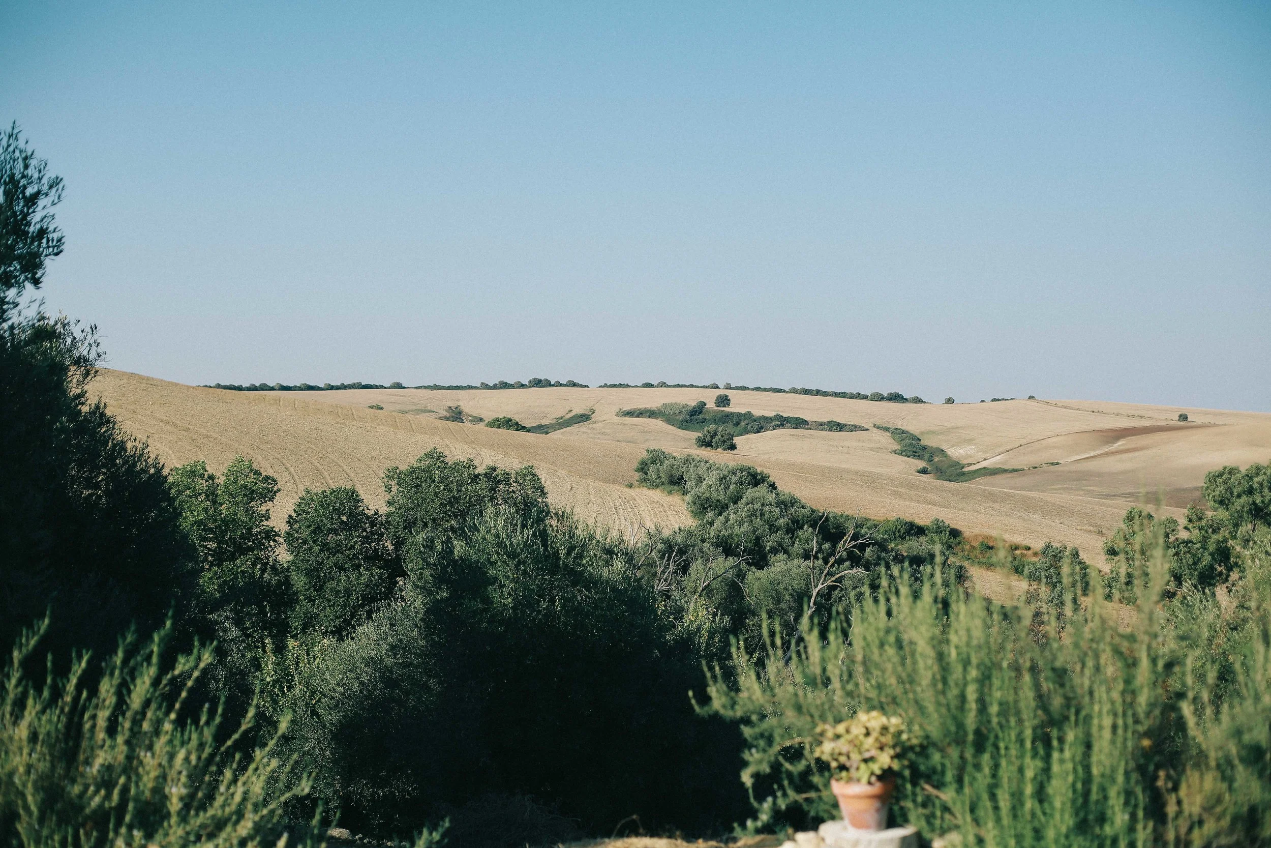 02092015-0C7A8005.jpg