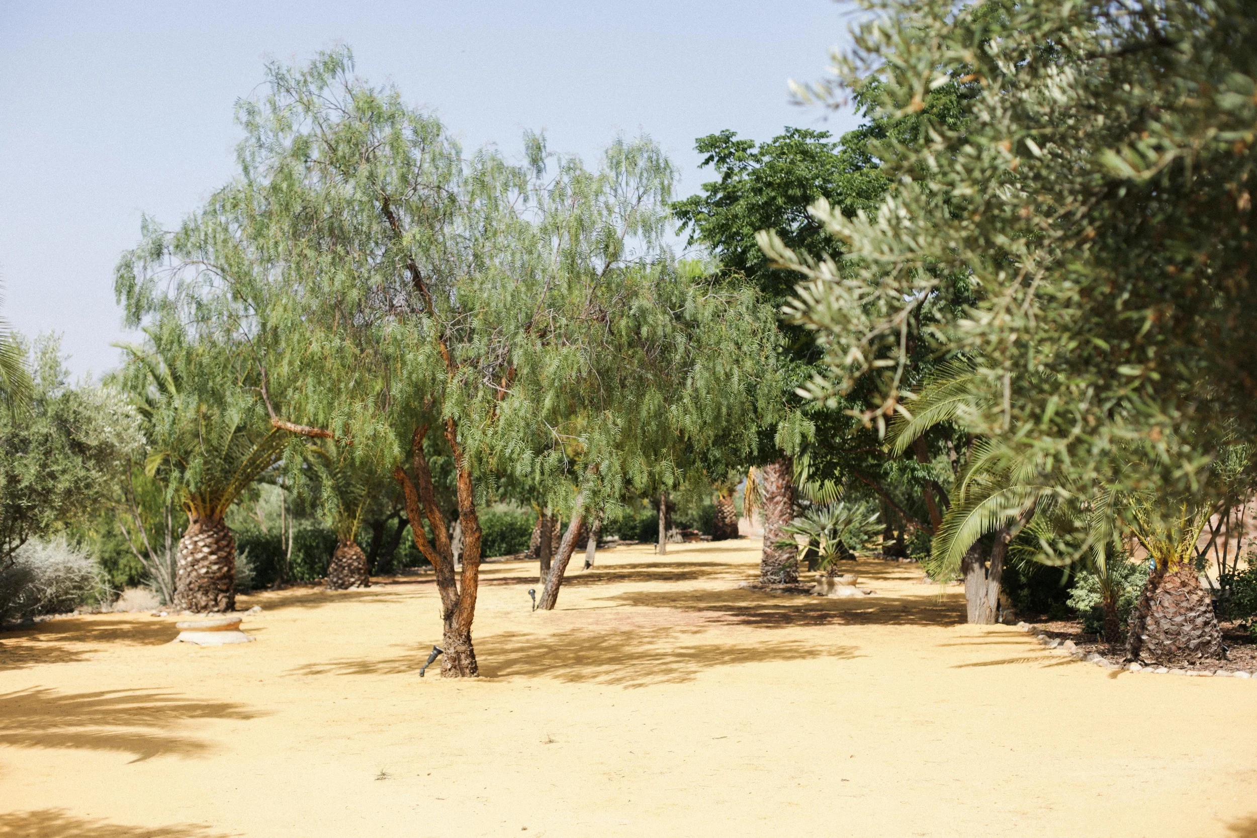 0C7A0502.jpg