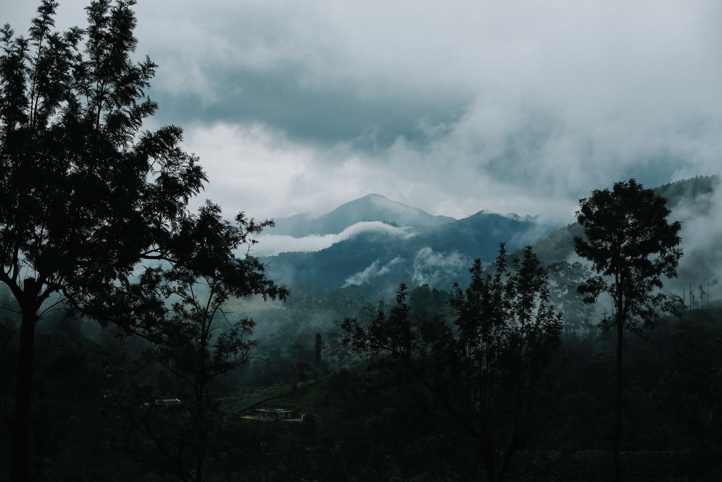 15082015-0C7A9207.jpg