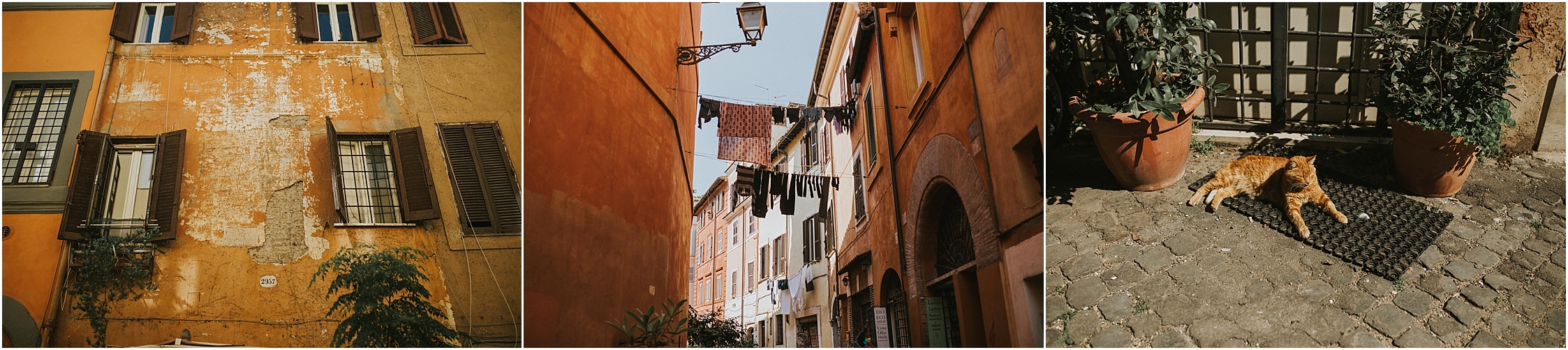 Things to do in Trastevere