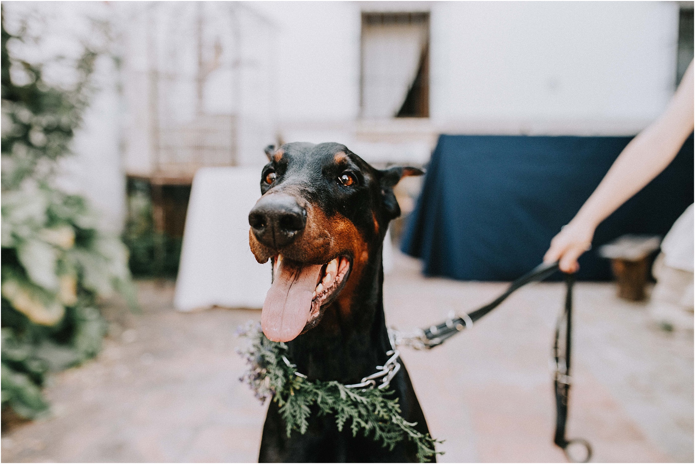 Moody Bohemian Wedding in Andalusia