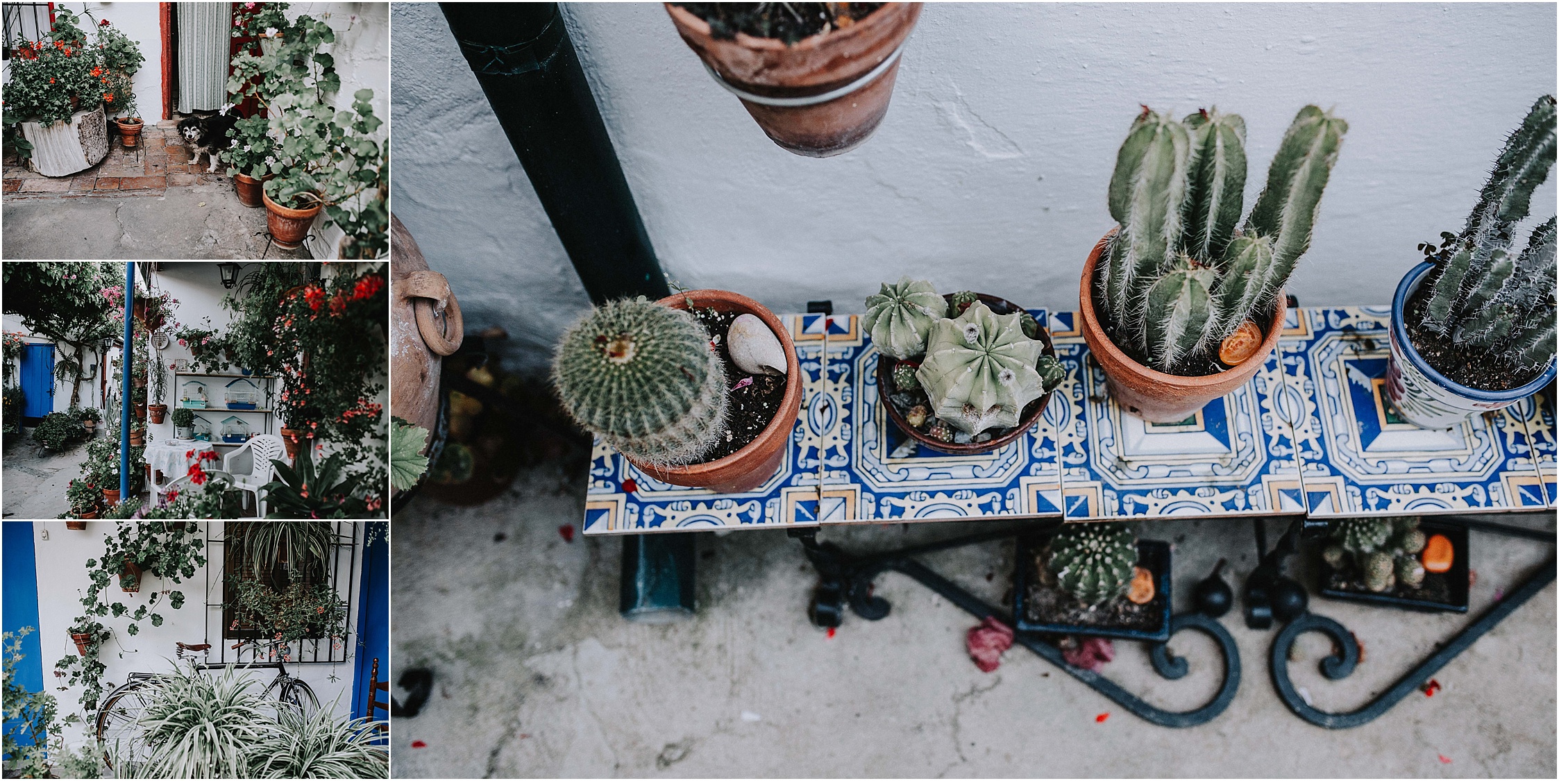 The patios of Cordoba - Wedding inpiration