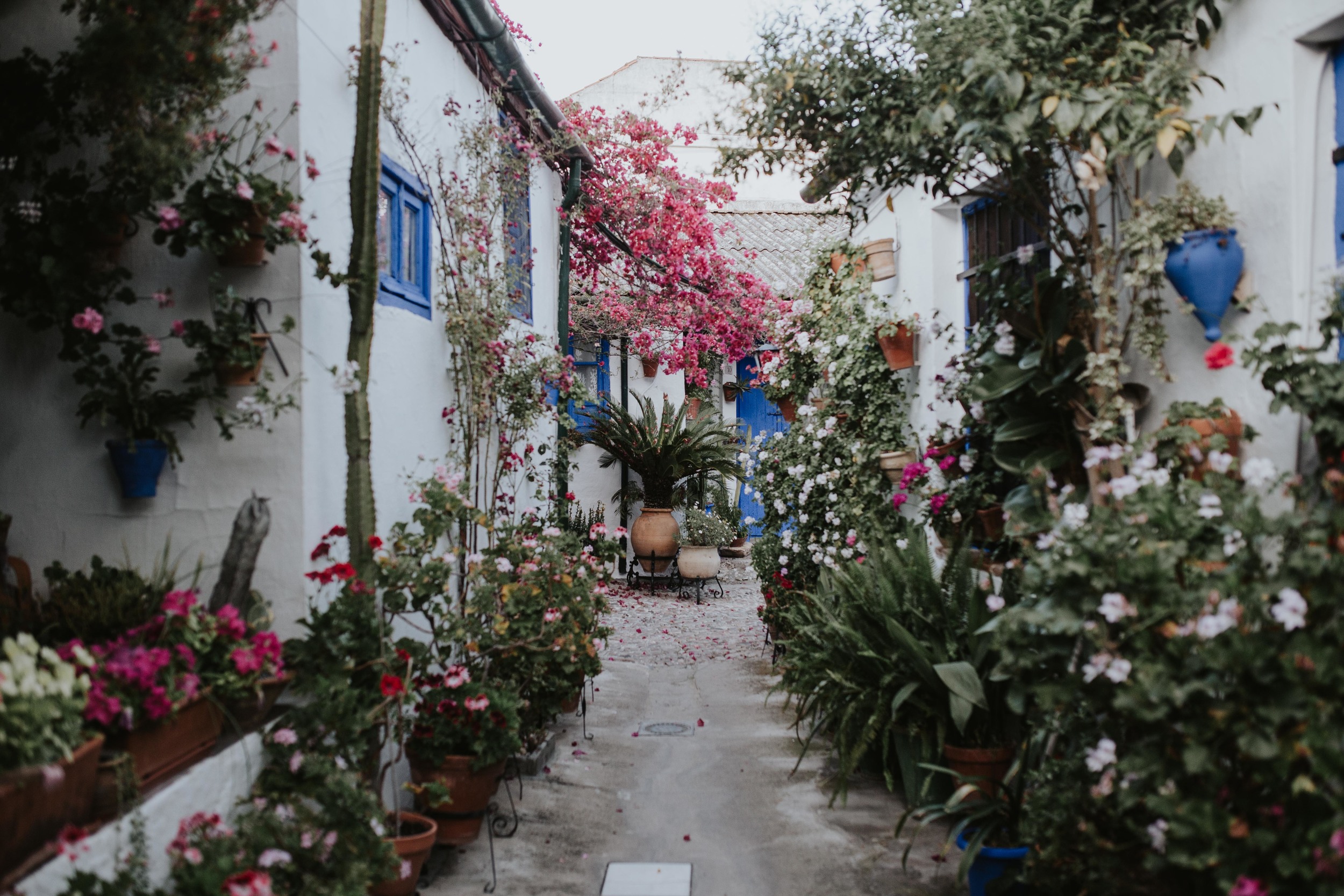 The patios of Cordoba - Wedding inpiration