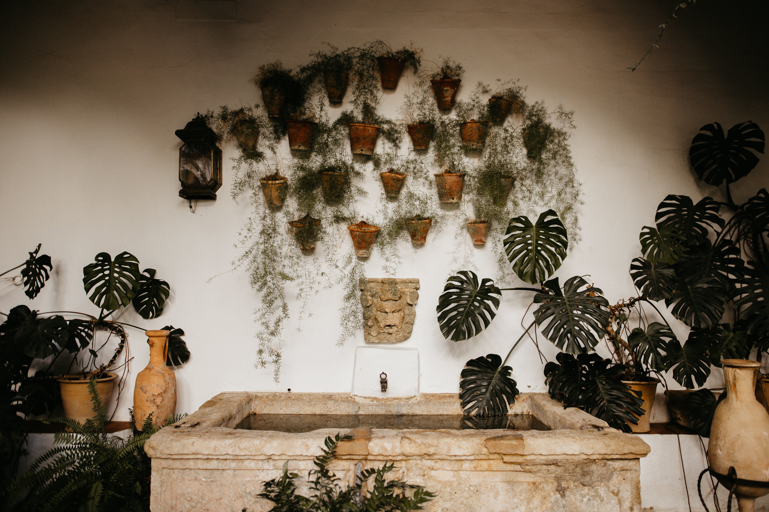 decorate a wedding with potted plants and greenery