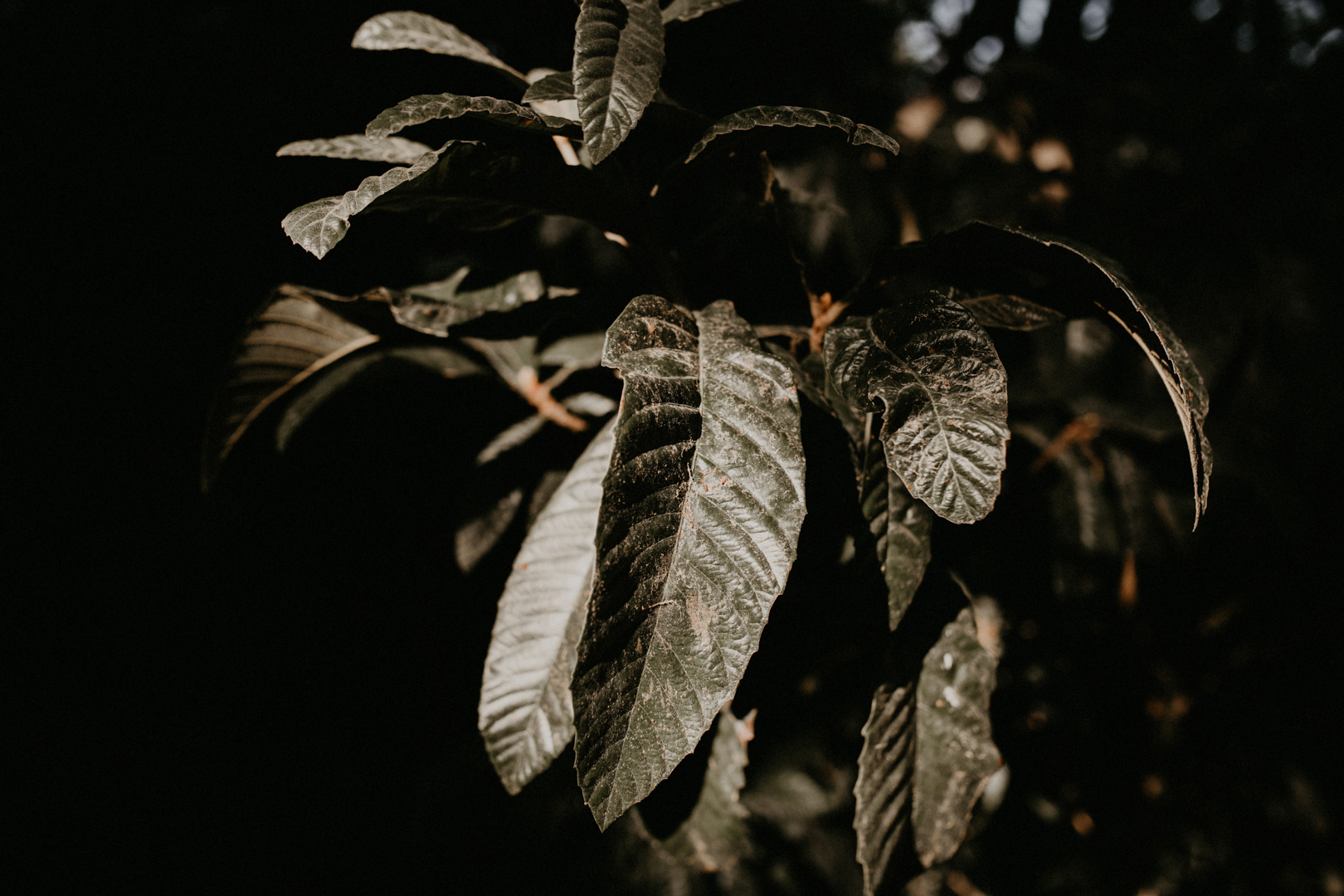 0X1A8183JOYMARKIII-Exposure.jpg
