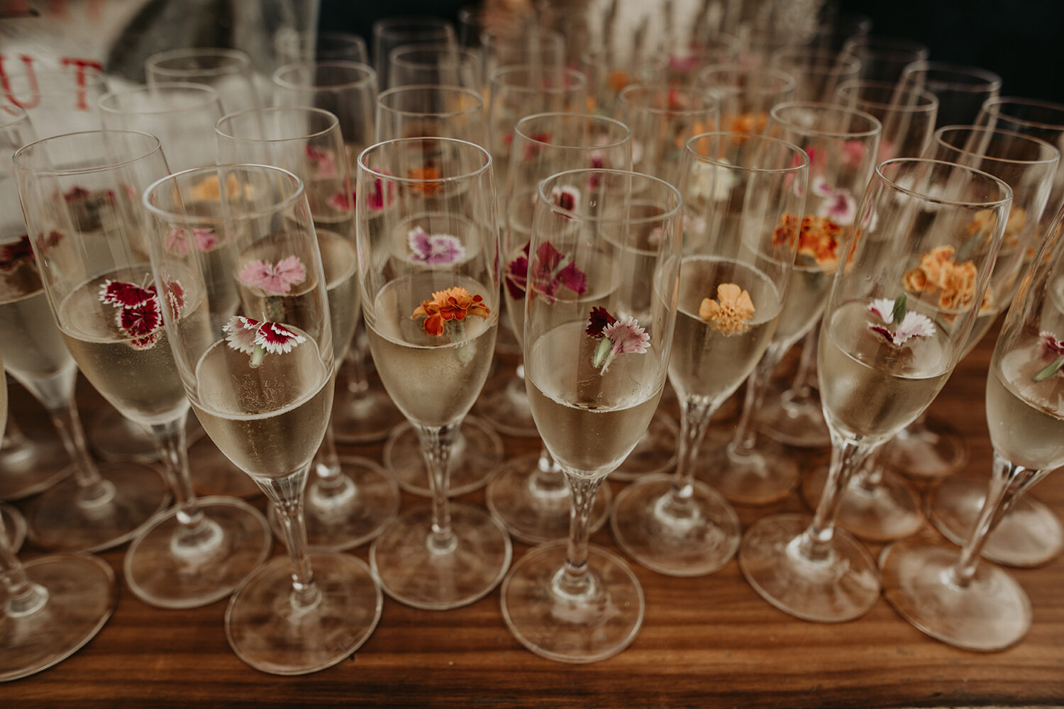 champagne flowers